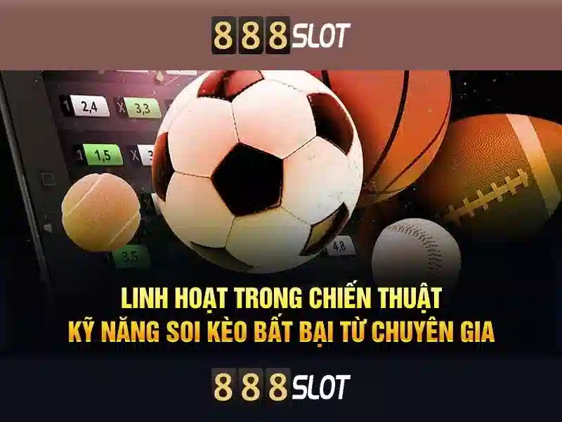 promotion-banner