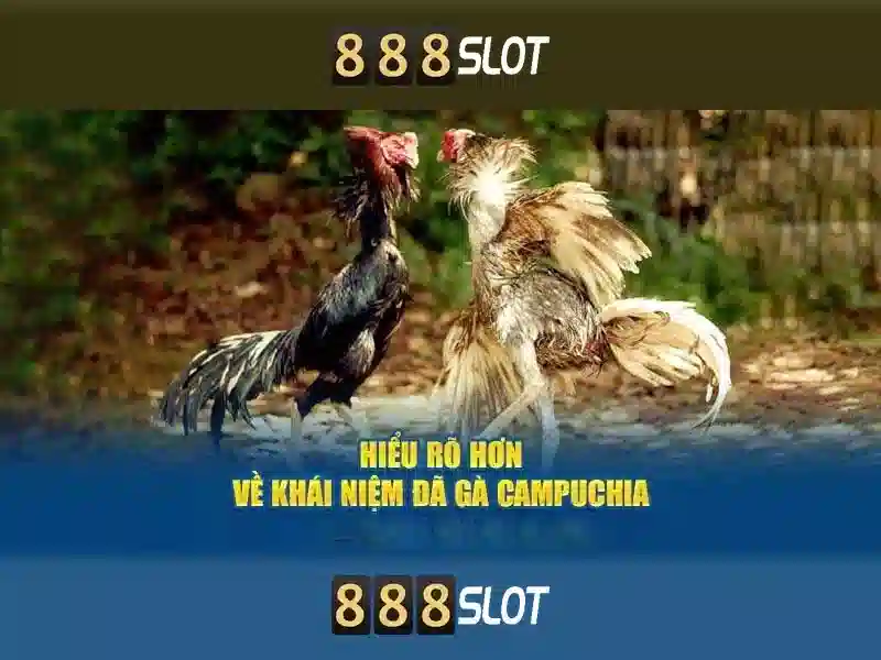 Giao diện nhà cái hoàn hảo