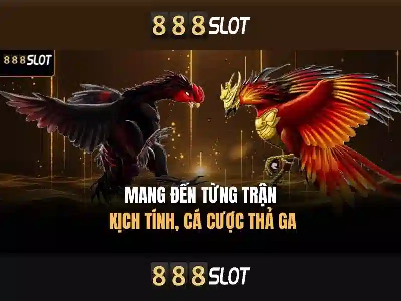 Bảo mật và thanh toán an toàn