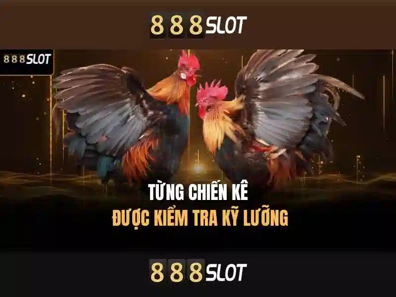 Khuyến mãi và chương trình thưởng