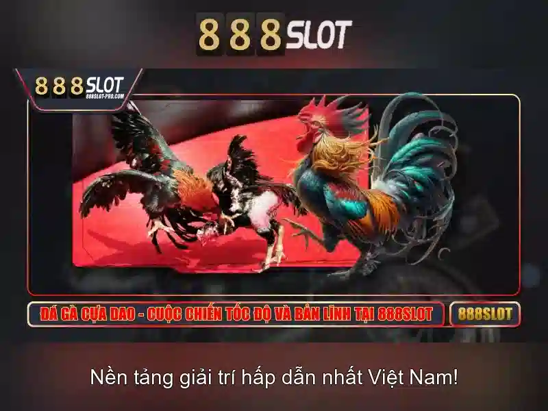 Trải nghiệm người dùng và ứng dụng di động