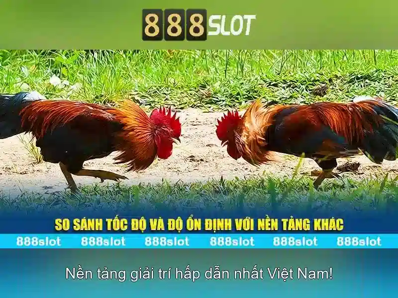 Khuyến mãi, thưởng và chương trình khách hàng thân thiết