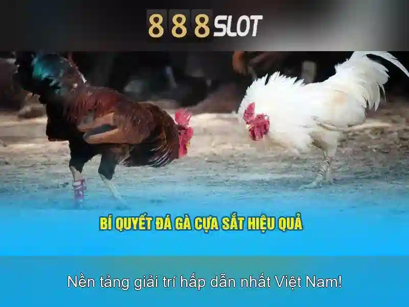 live casino va ban cuoc truc tiep live casino va ban cuoc truc tiep