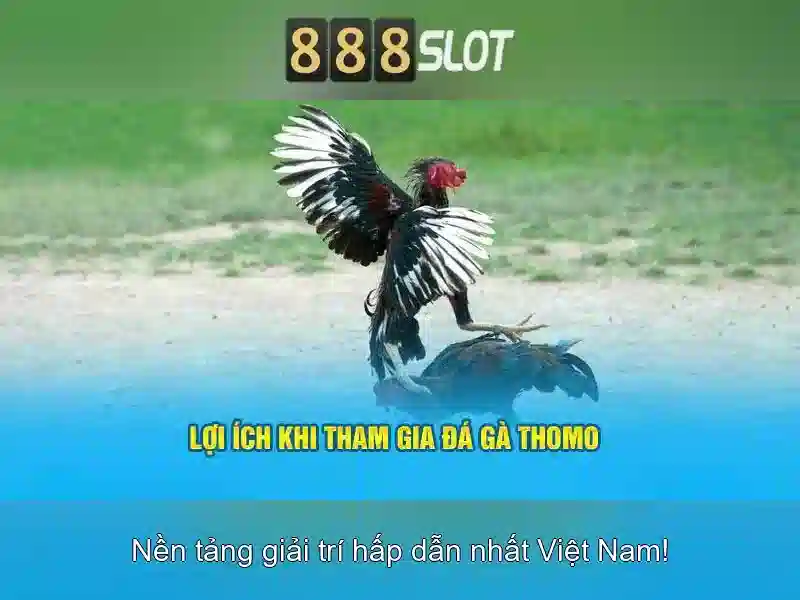Giao diện người dùng trực quan và an toàn