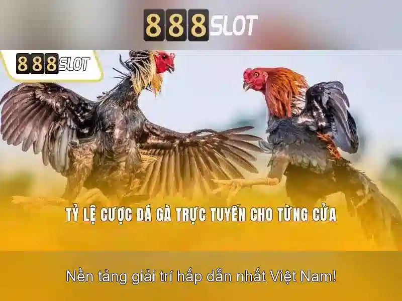 Trải nghiệm người dùng và thanh toán