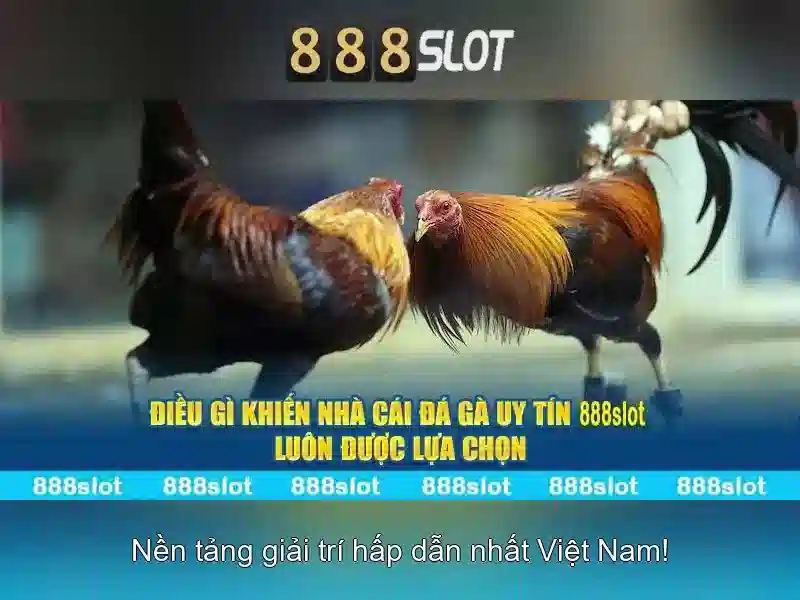 Tổng quan về điều khoản điều kiện tại nhà cái 888slot