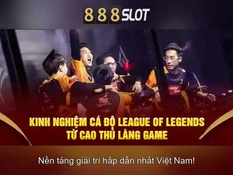 'Trải nghiệm di động và hỗ trợ khách hàng'